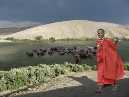 A Day In Masai Mara